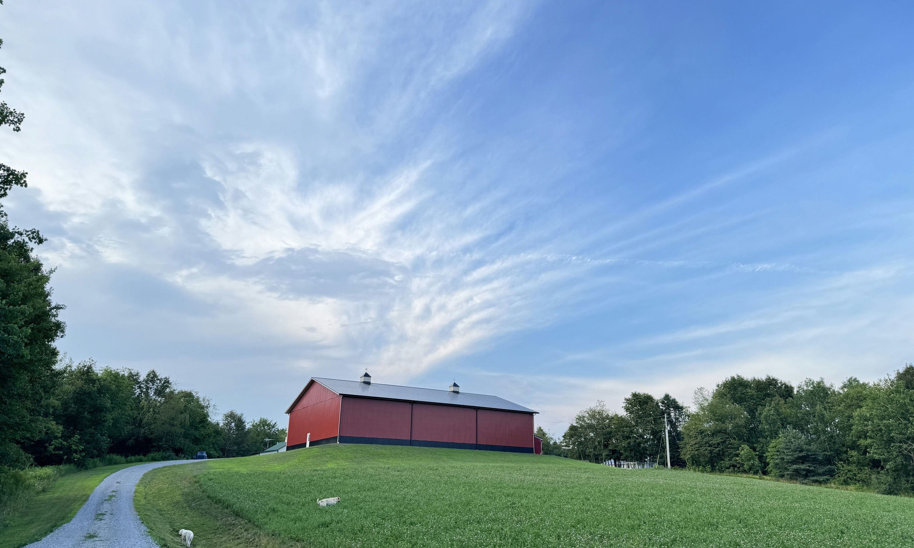 Week Check-In 7/26/24